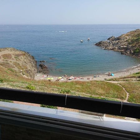 Апартаменты Portvendres Sea View Пор-Вандр Экстерьер фото